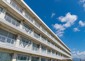 学校